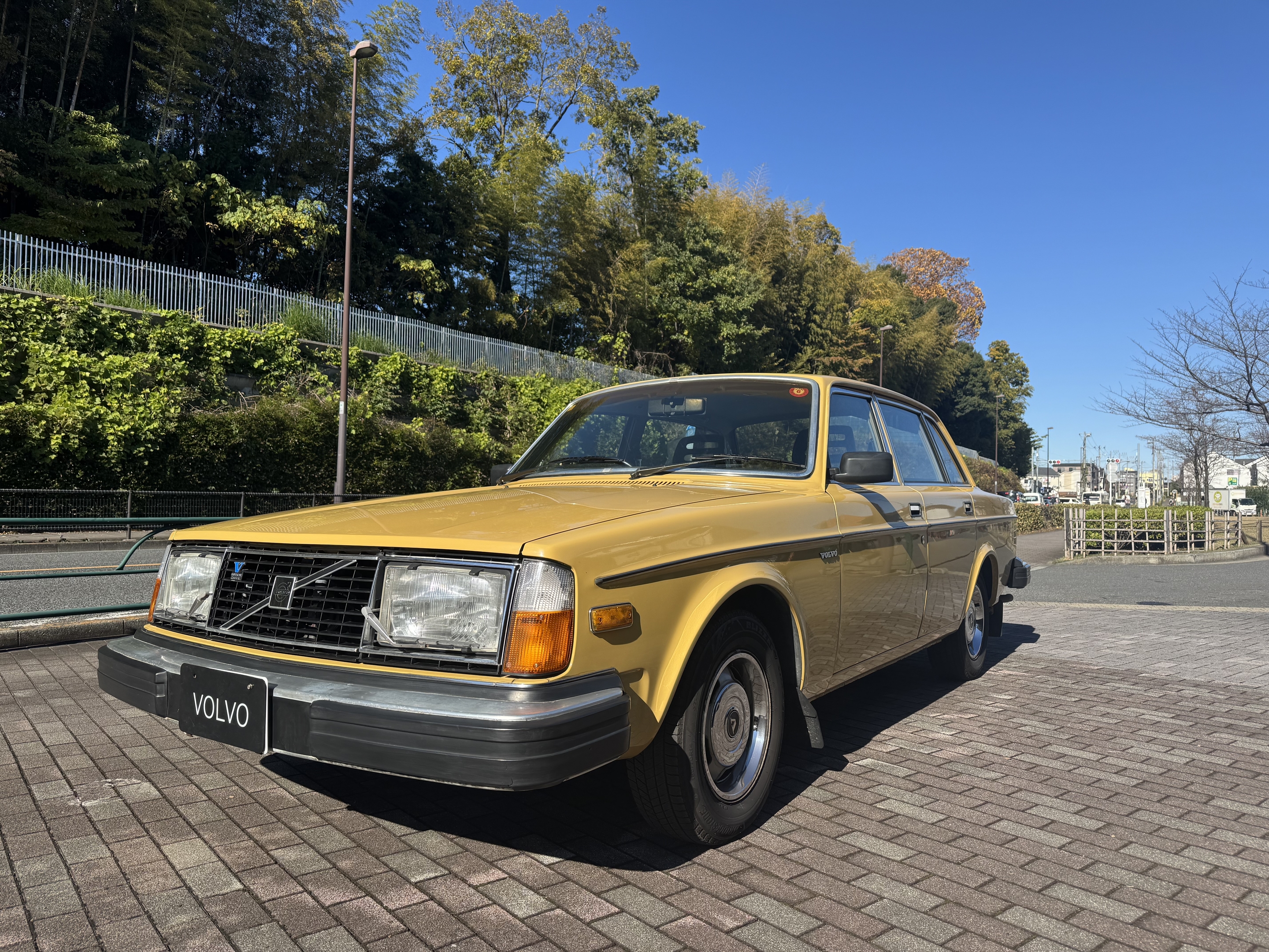 ボルボ 244 1982年式 B21